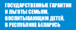 Государственные гарантии и льготы семьям, воспитывающим детей, в Республике Беларусь